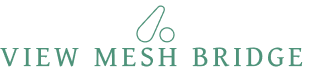 View Mesh Bridge